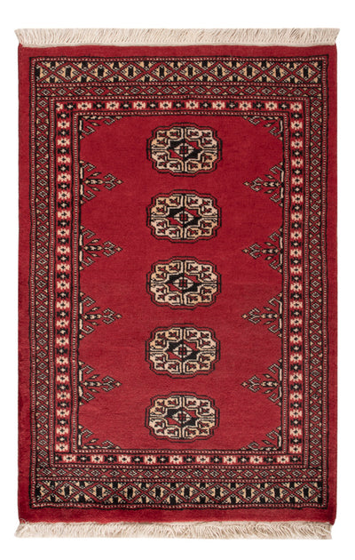 Pakistani Rug 61x92cm - Oriental Rug