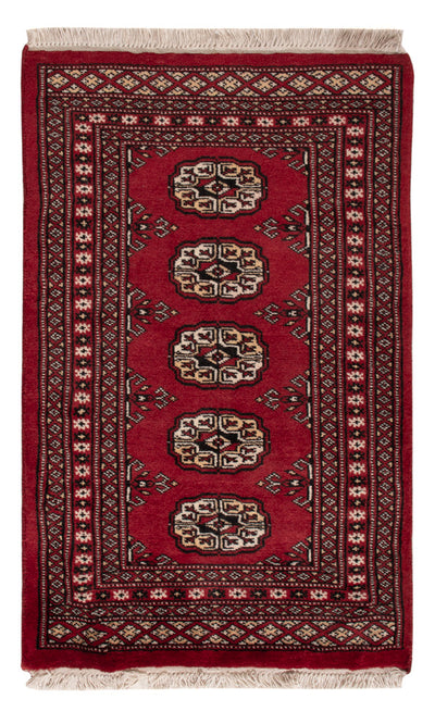 Pakistani Rug 61x95cm - Oriental Rug