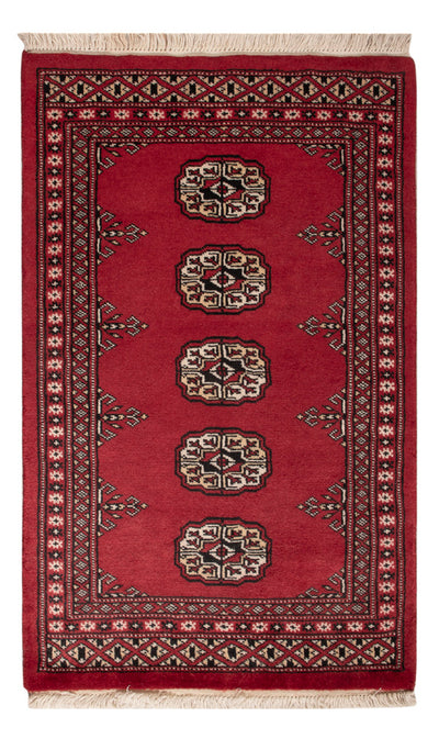 Pakistani Rug 61x96cm - Oriental Rug