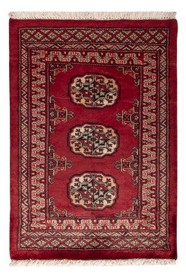 Pakistani Rug - 91 x 64 cm - red