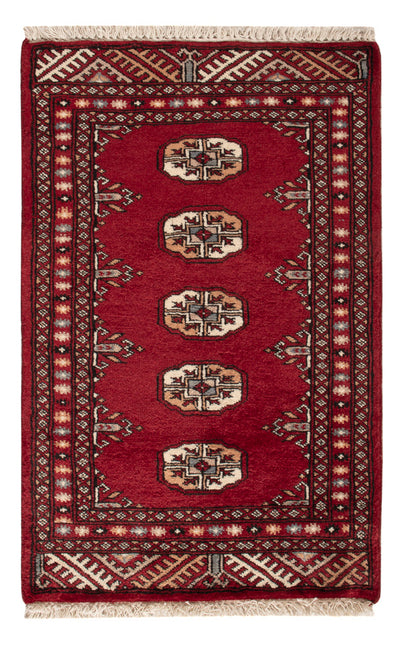 Pakistani Rug 60x90cm - Oriental Rug