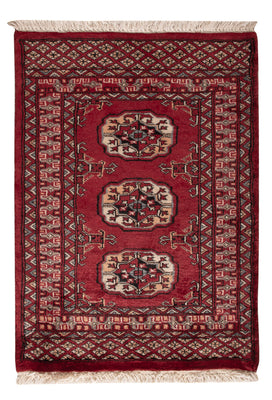 Pakistani Rug - 90 x 64 cm - red