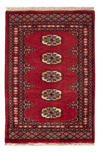 Pakistani Rug - 91 x 61 cm - red