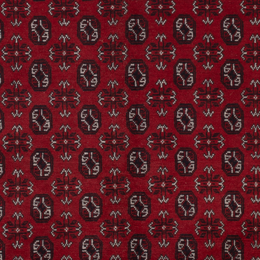 Afghan Rug - Filpa - 302 x 245 cm - red