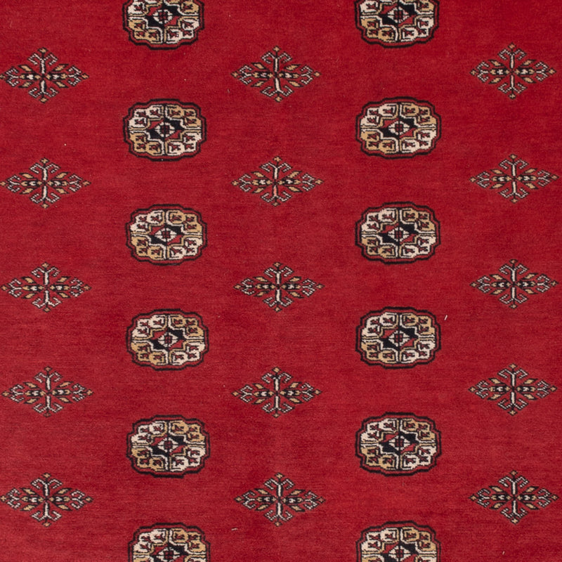Pakistani Rug - 331 x 251 cm - red