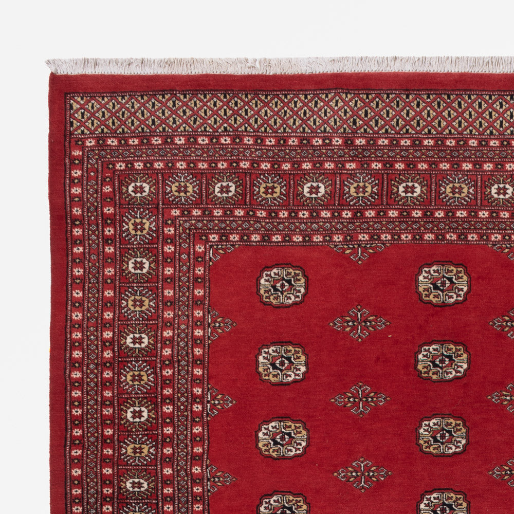 Pakistani Rug 331x251cm - Oriental Rug