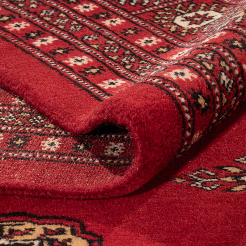 Pakistani Rug - 331 x 251 cm - red