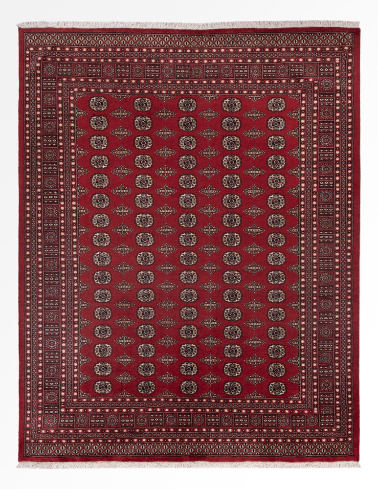 Pakistani Rug - 318 x 248 cm - red