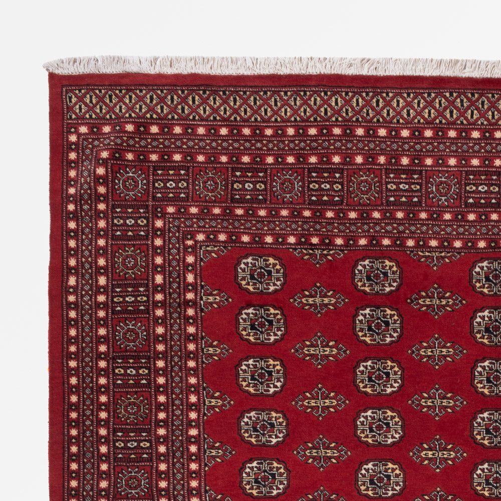 Pakistani Rug 318x248cm - Oriental Rug