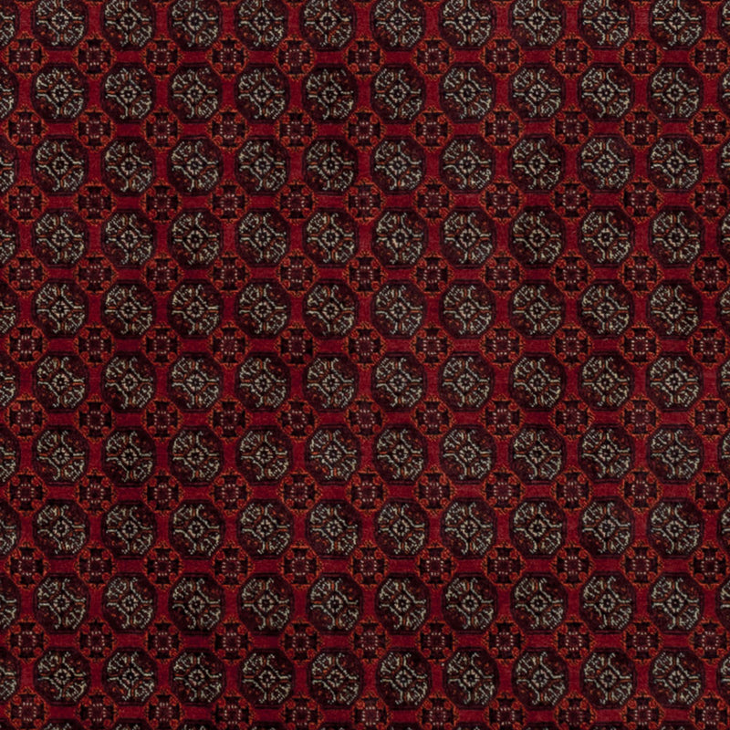 Afghan Rug - Royal - 196 x 150 cm - red