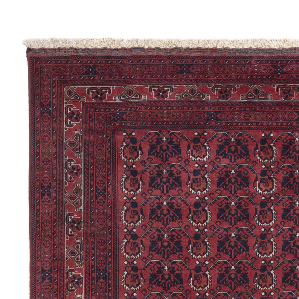 Afghan Teppich 303x194cm - Orientteppich