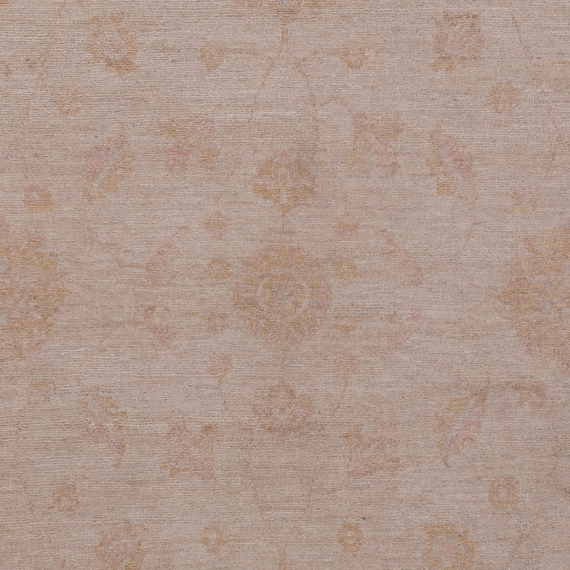 Ziegler Teppich - 302 x 203 cm - beige