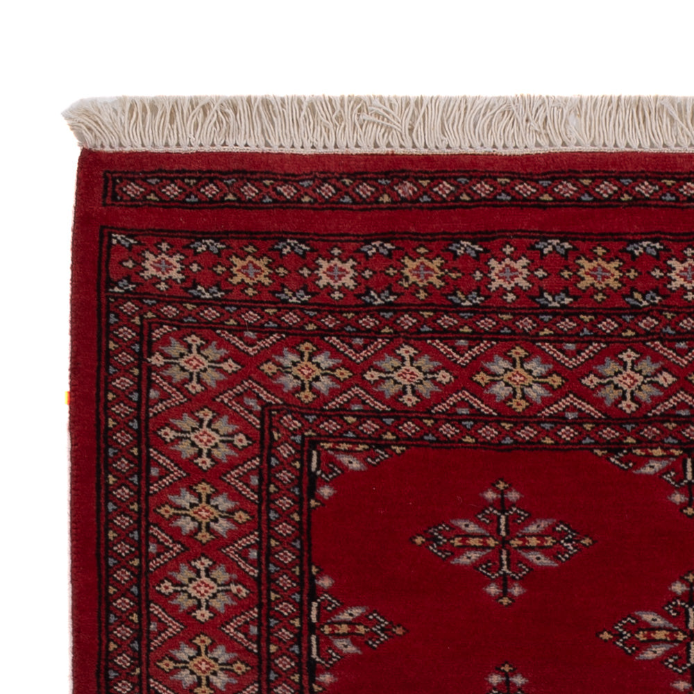 Pakistani Rug 152x95cm - Oriental Rug