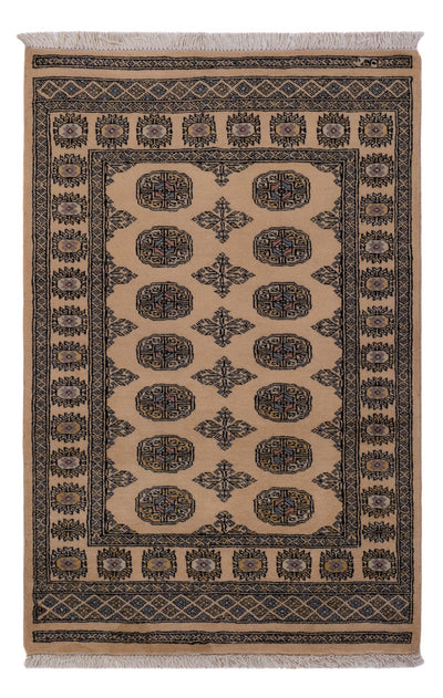Pakistani Rug 95x148cm - Oriental Rug