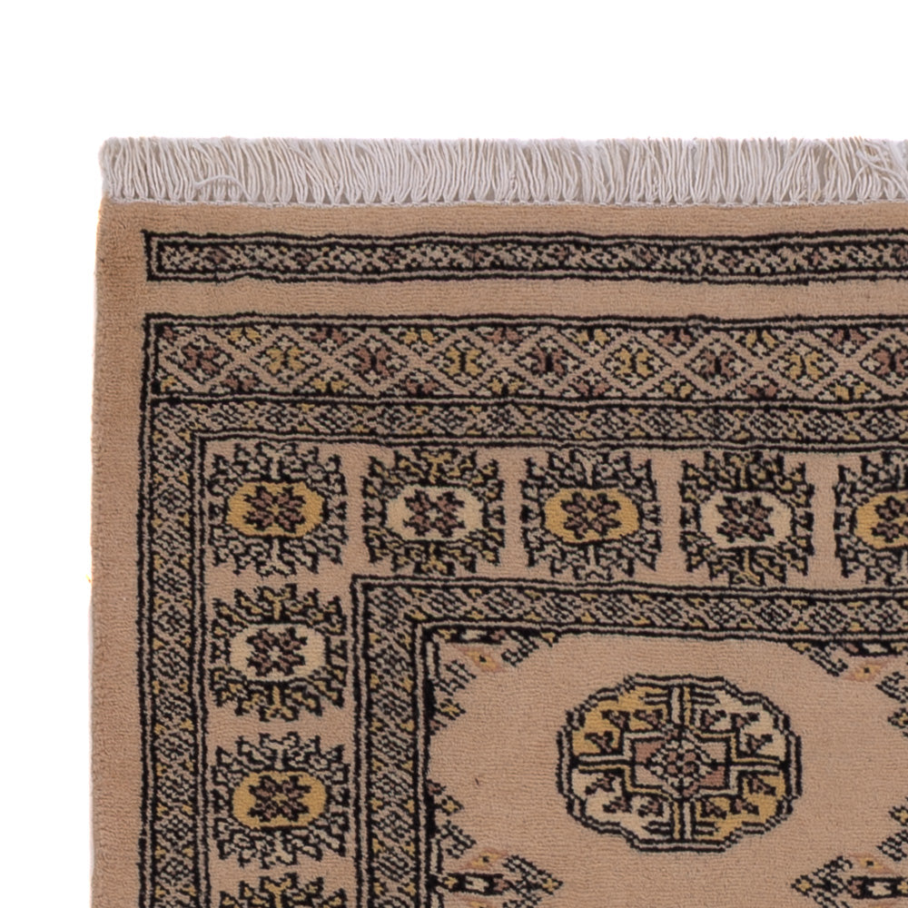 Pakistani Rug 151x97cm - Oriental Rug