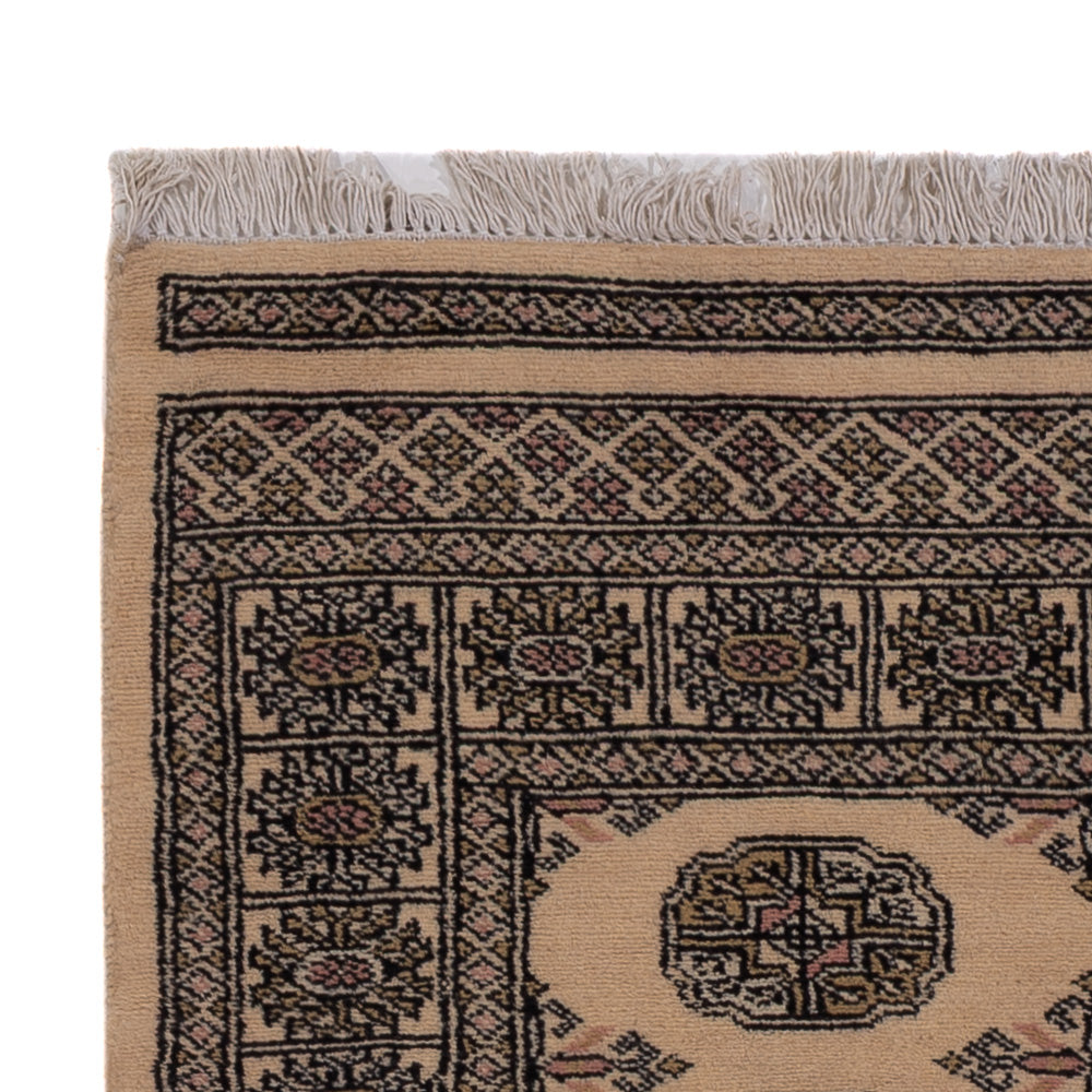 Pakistani Rug 147x93cm - Oriental Rug