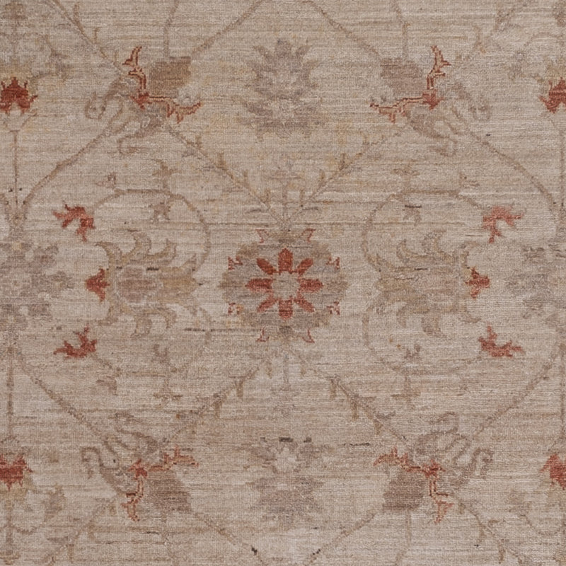 Ziegler Rug - 302 x 244 cm - beige