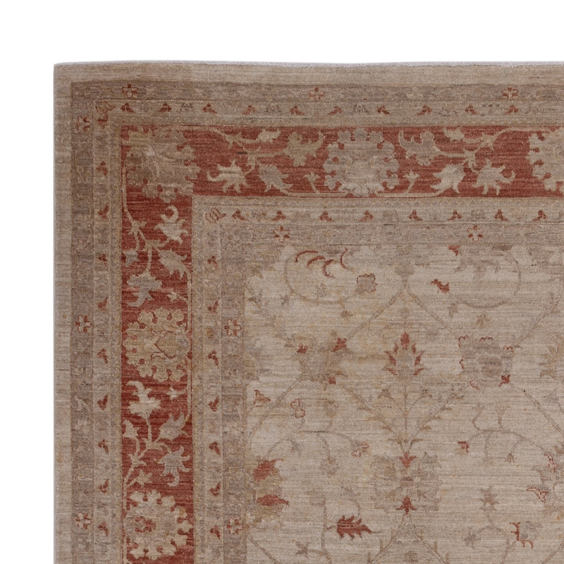 Ziegler Rug - 302 x 244 cm - beige