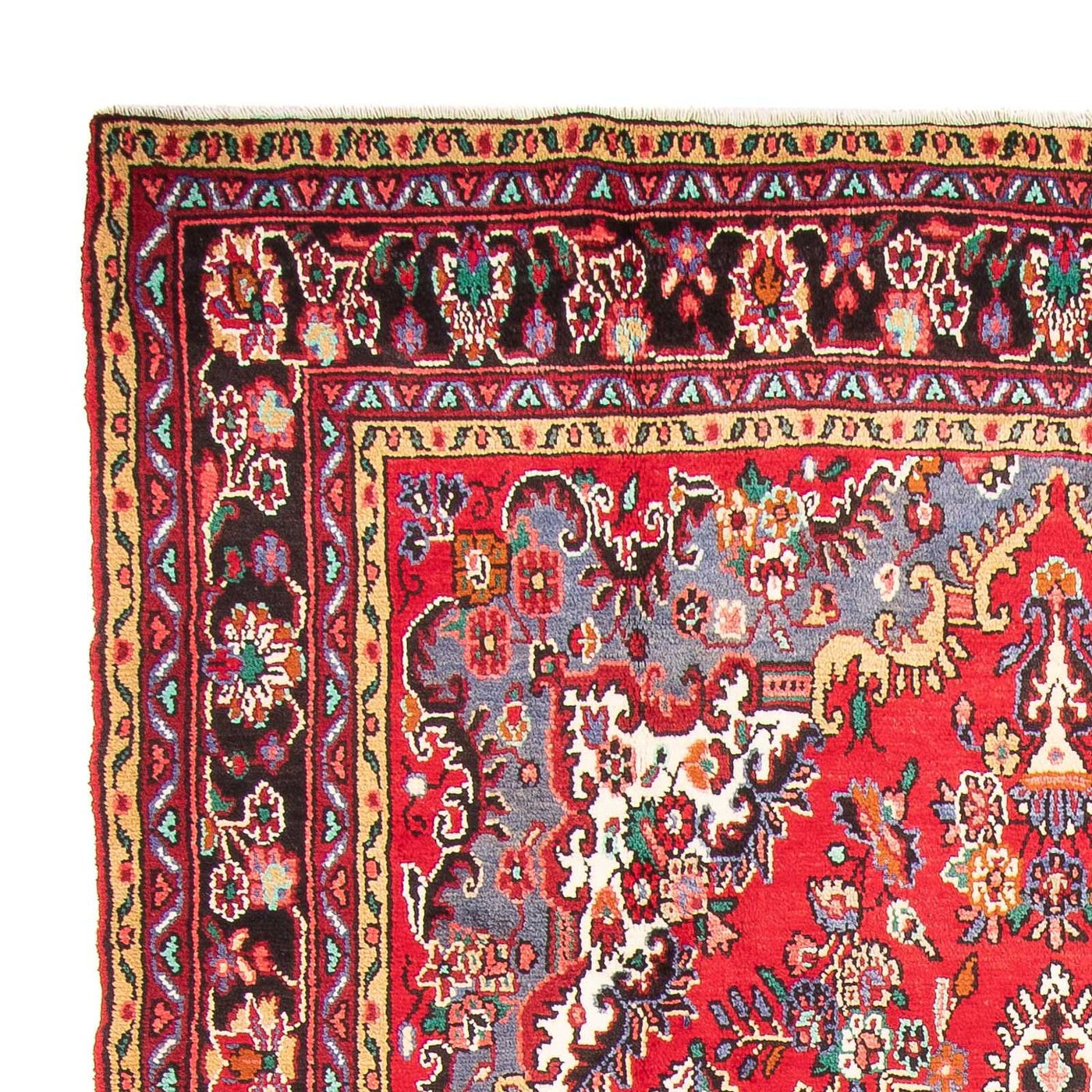 Hamadan Rug 303x204cm - Persian Rugs