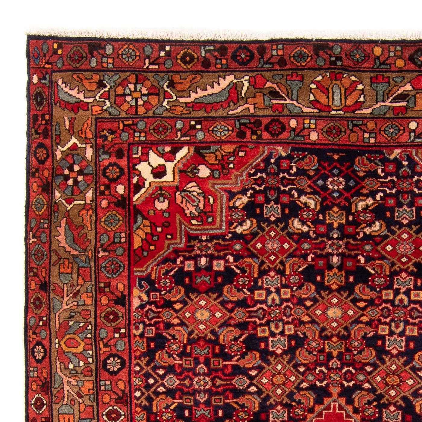 Malayer Rug 243x165cm - Persian Rugs