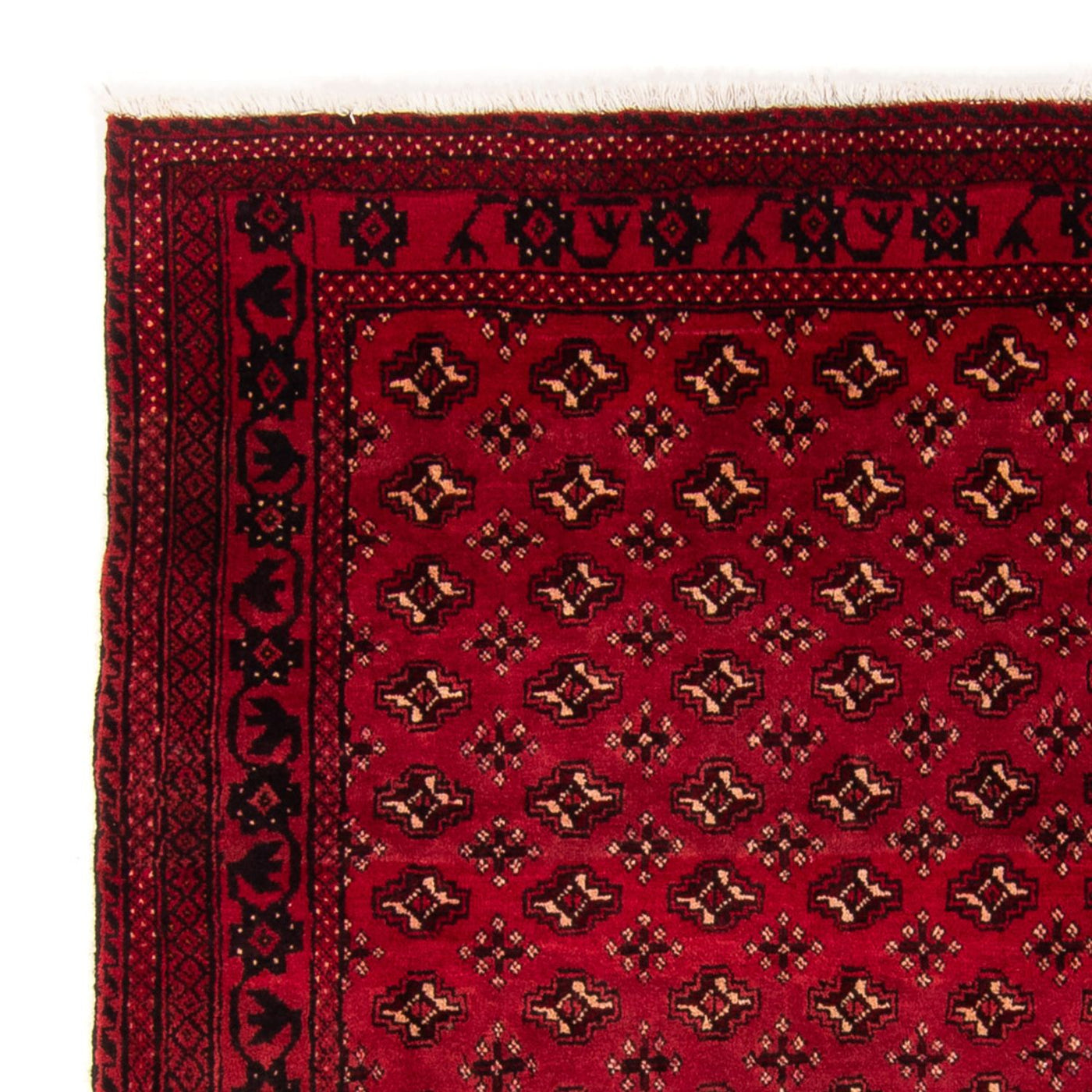 Turkaman Rug 239x130cm - Persian Rugs
