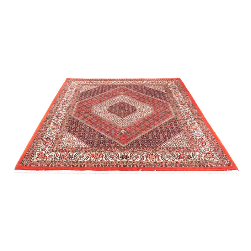Perser Rug - Bidjar - 240 x 175 cm - red