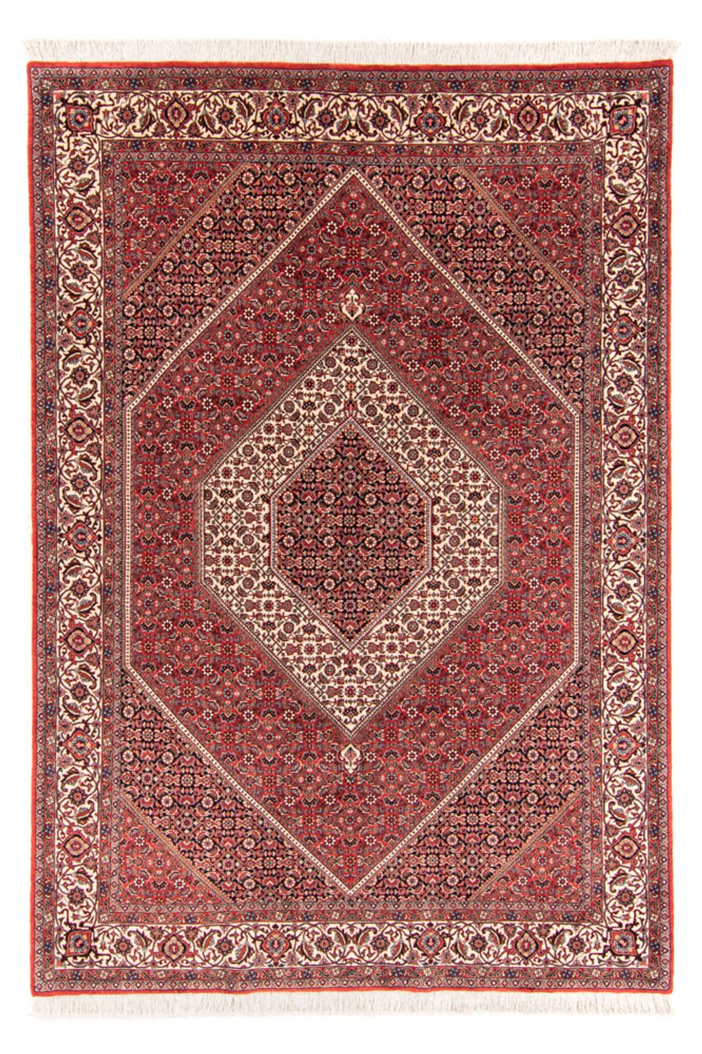 Perser Rug - Bidjar - 252 x 174 cm - red