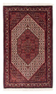 Bidjar - Takab Rug 183x114cm - Persian Rugs