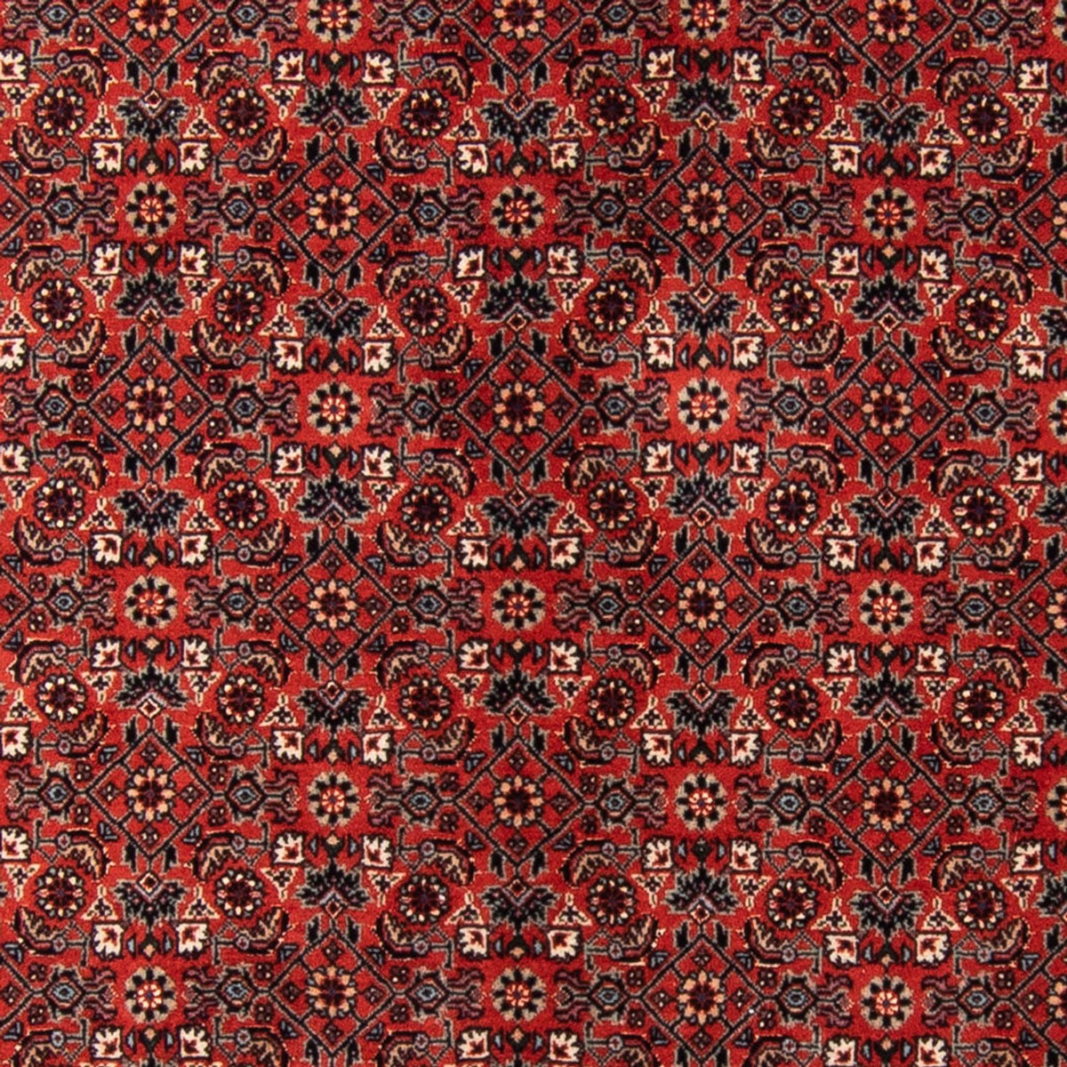 Runner Perser Rug - Bidjar - 205 x 102 cm - red
