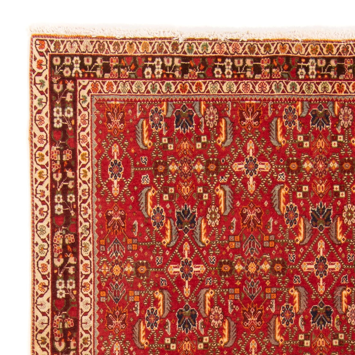 Kashkuli Rug 192x130cm - Persian Rugs