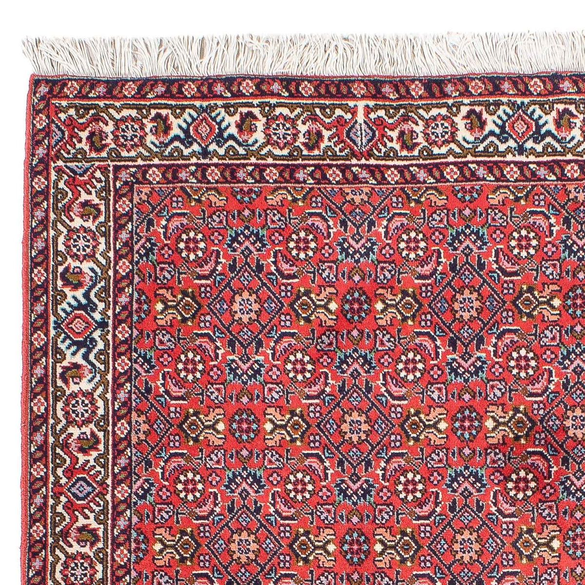 Bidjar - Takab Rug 74x94cm - Persian Rugs