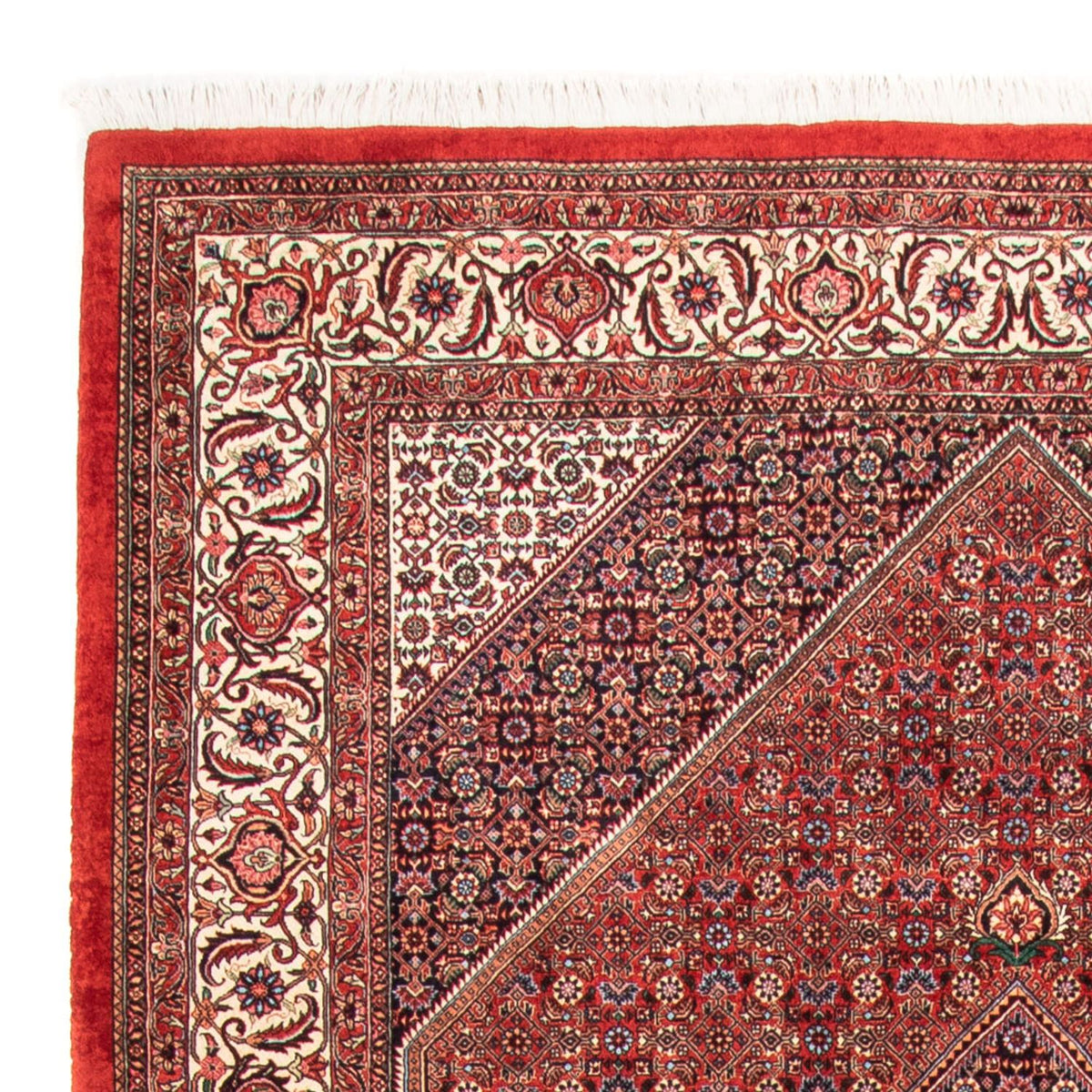 Perser Rug - Bidjar - 310 x 205 cm - red