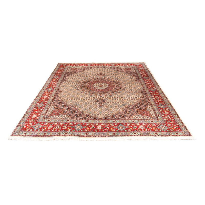 Perser Rug - Classic - 299 x 198 cm - beige