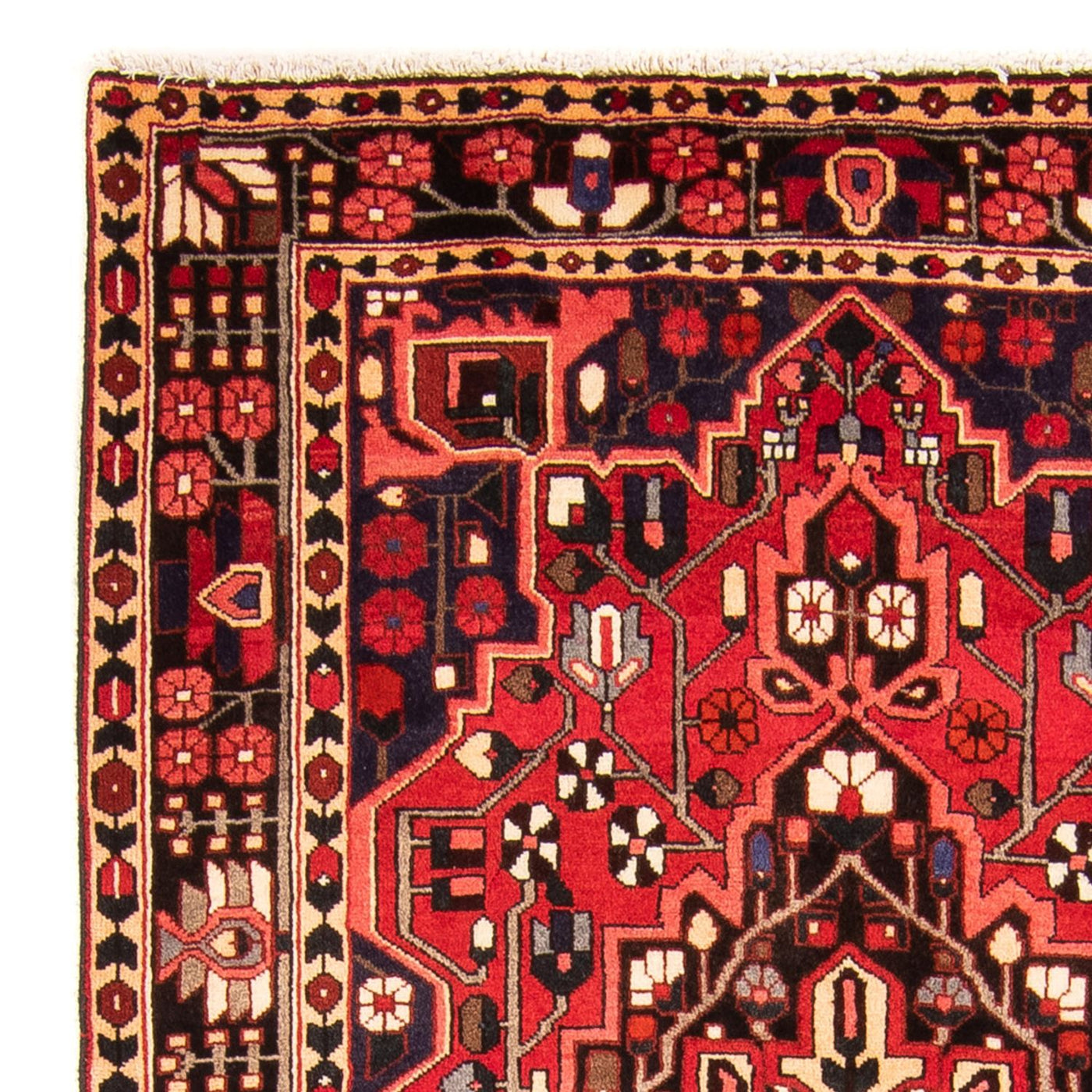 Hamadan Rug 160x112cm - Persian Rugs