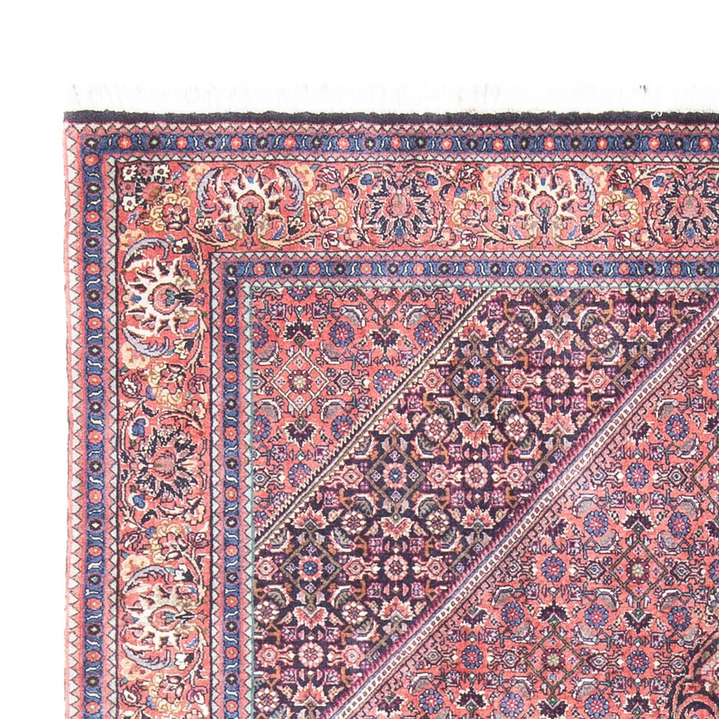 Bidjar Rug 240x145cm - Persian Rugs
