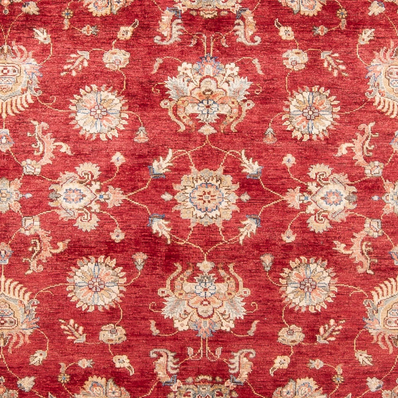 Ziegler Rug - 298 x 209 cm - red