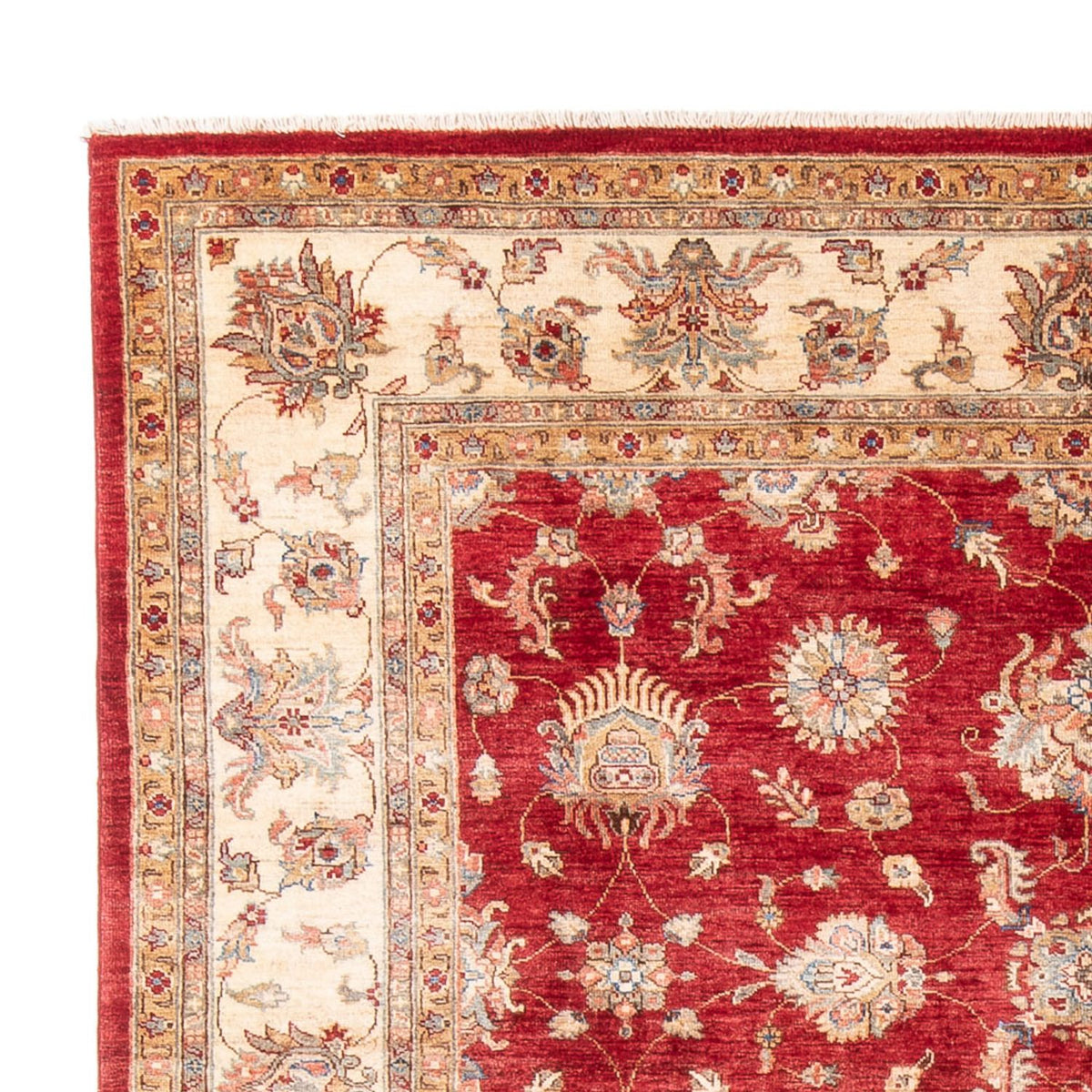 Ziegler Rug - 298 x 209 cm - red