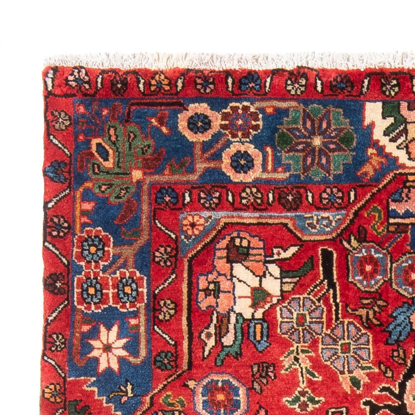 Nahavand Rug 171x119cm - Persian Rugs