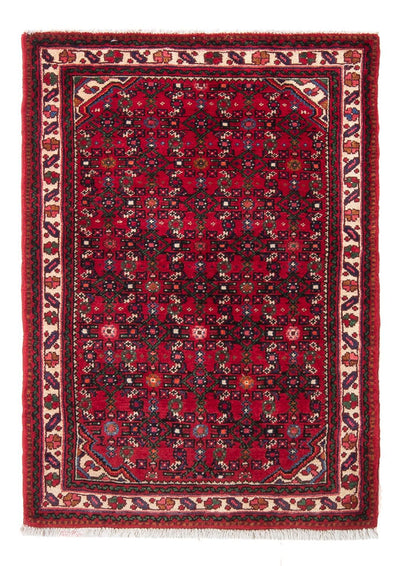 Malayer Rug 80x115cm - Persian Rugs