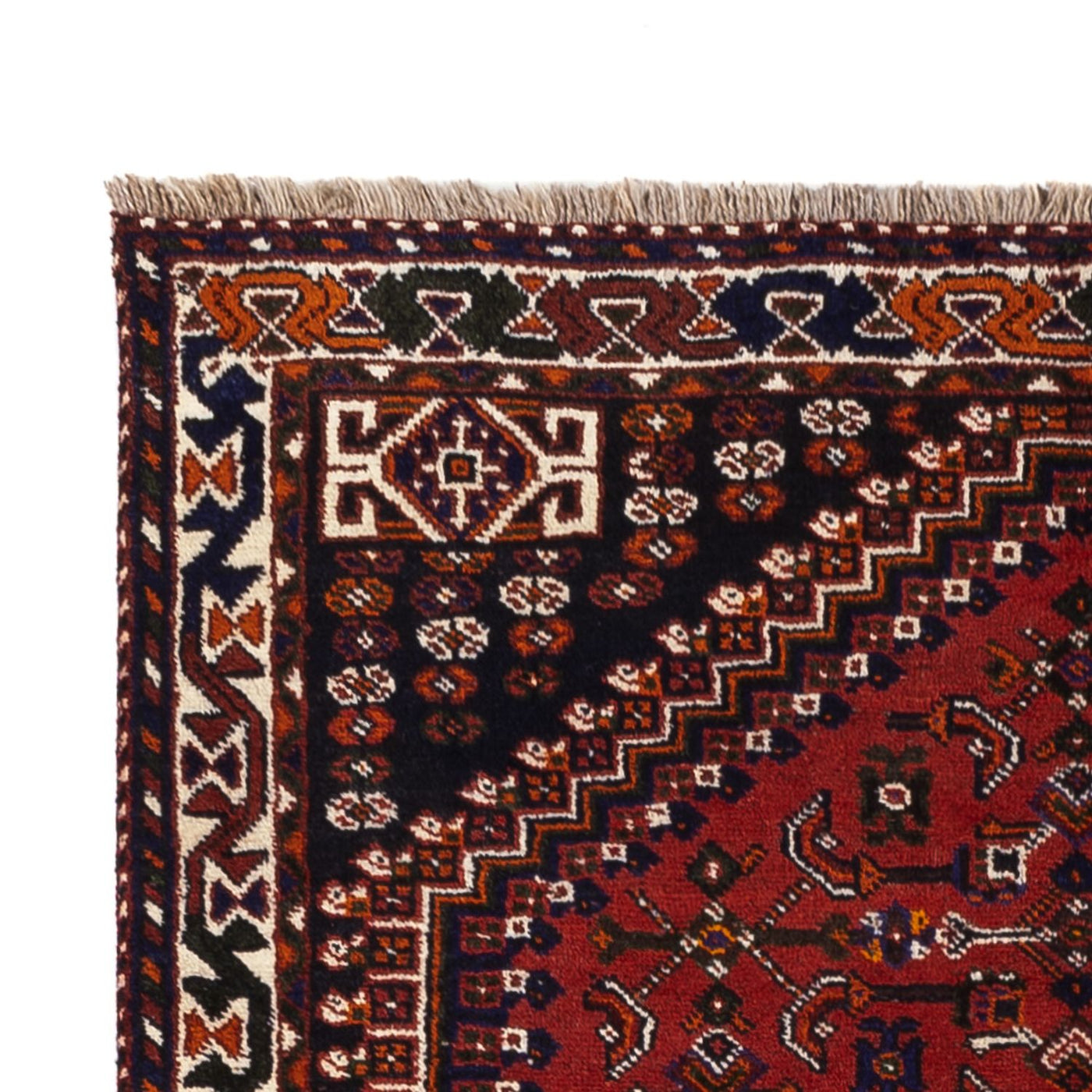 Ghashghai Rug 252x155cm - Persian Rugs