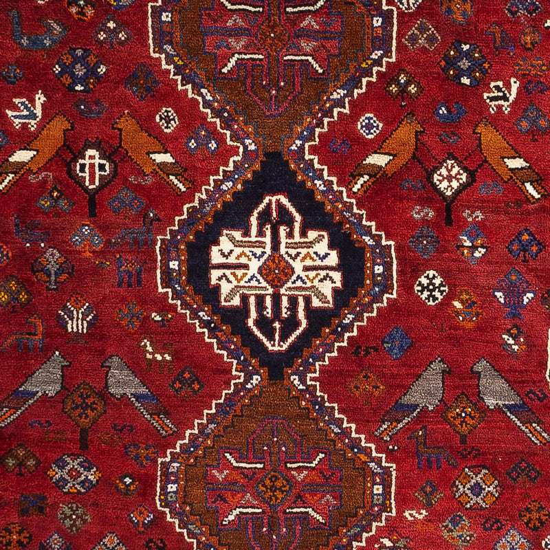 Qashqai Rug 259x162cm - Persian Rugs