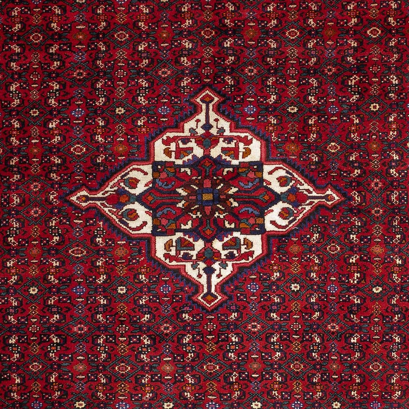 Malayer Rug 258x363cm - Persian Rugs