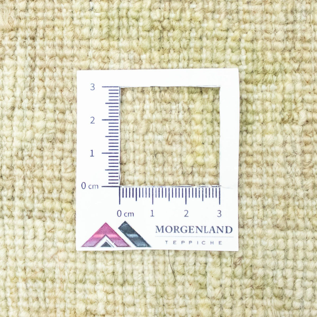 Ziegler Rug - 355 x 275 cm - blue