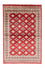 Pakistani Rug - 181 x 125 cm - red