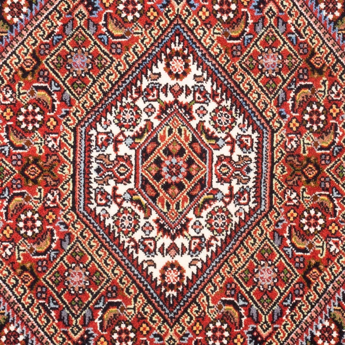 Perser Rug - Bidjar - 90 x 70 cm - red