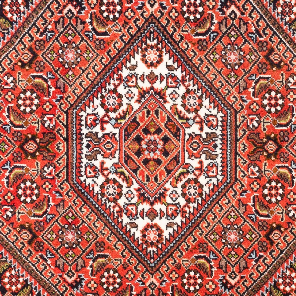 Perser Rug - Bidjar - 102 x 71 cm - red
