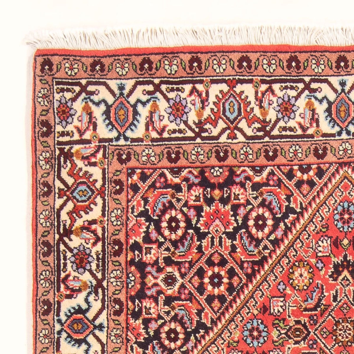 Bidjar - Bukan Rug 87x150cm - Persian Rugs - red