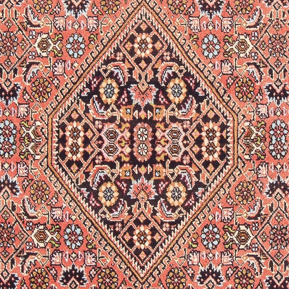 Perser Rug - Bidjar - 155 x 84 cm - red