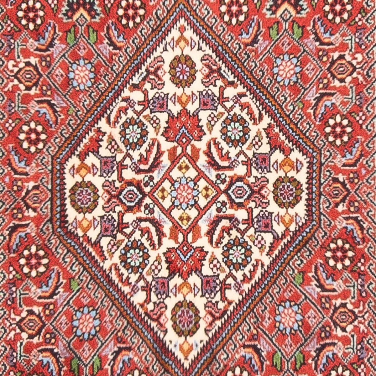 Perser Rug - Bidjar - 158 x 84 cm - red
