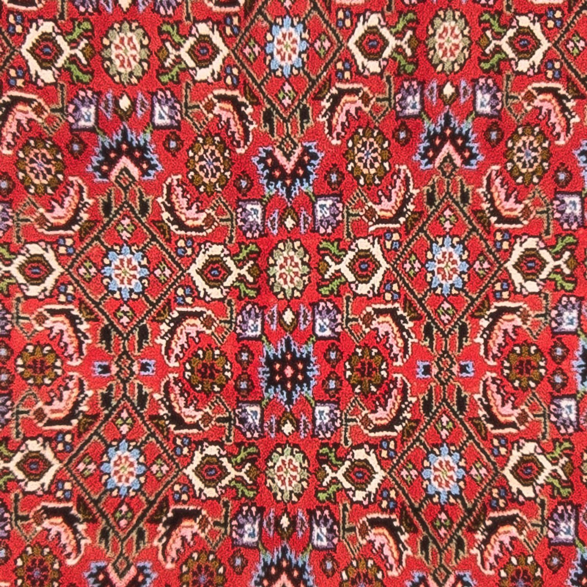 Perser Rug - Bidjar - 137 x 84 cm - red